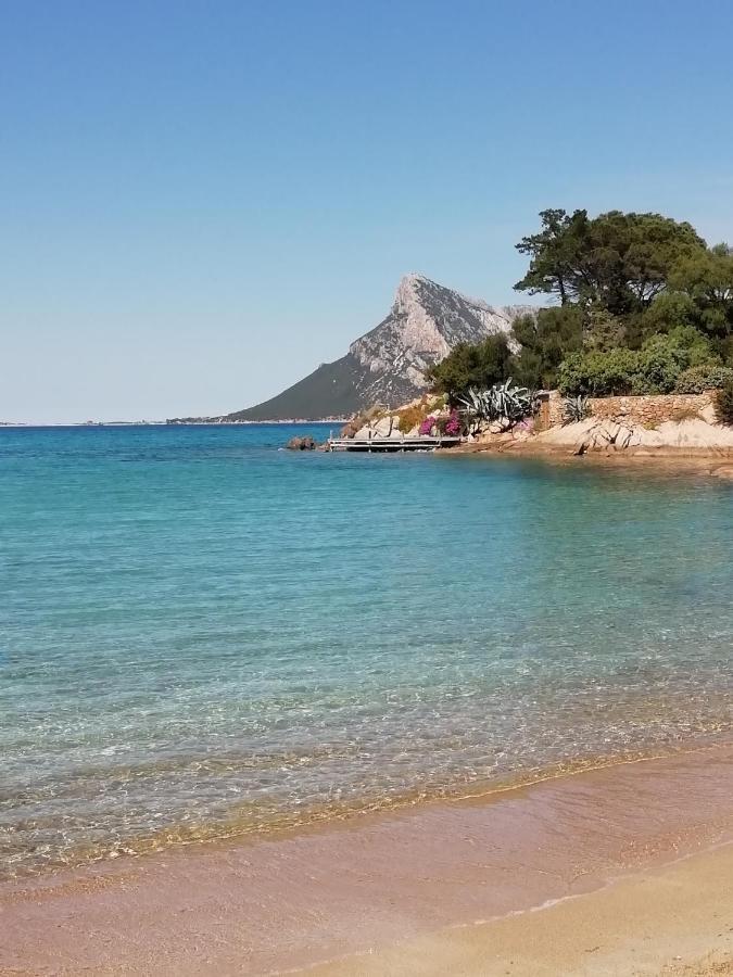 Frina Di Mari B&B San Teodoro  Eksteriør billede